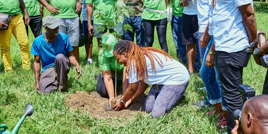 planting-au-jardin-botanique